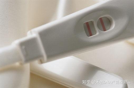 v2-f5bc05adf7afb29cb2fec8b5a84d2760_r.jpg