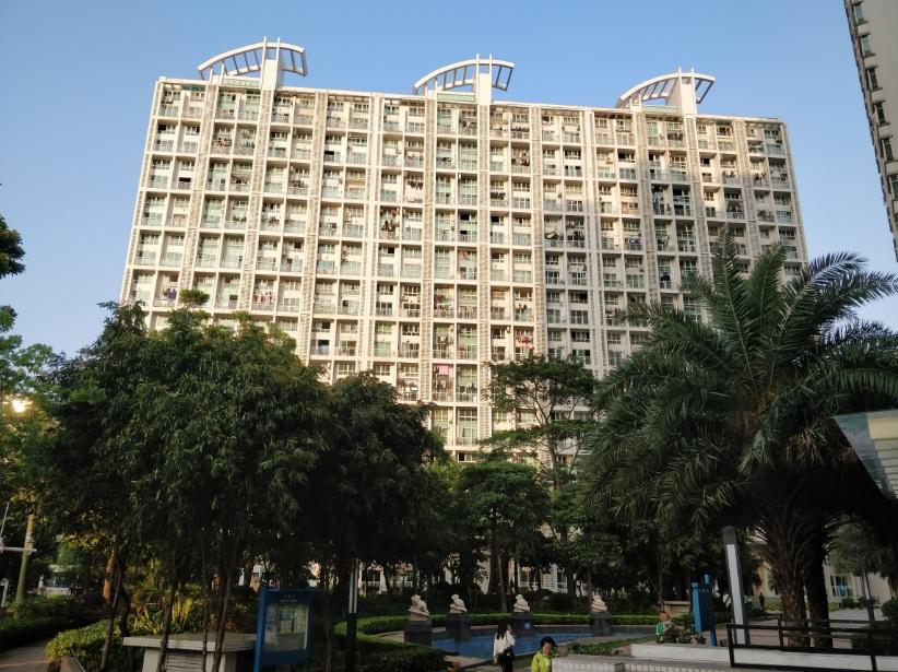 实力打脸150w总价标的物分析