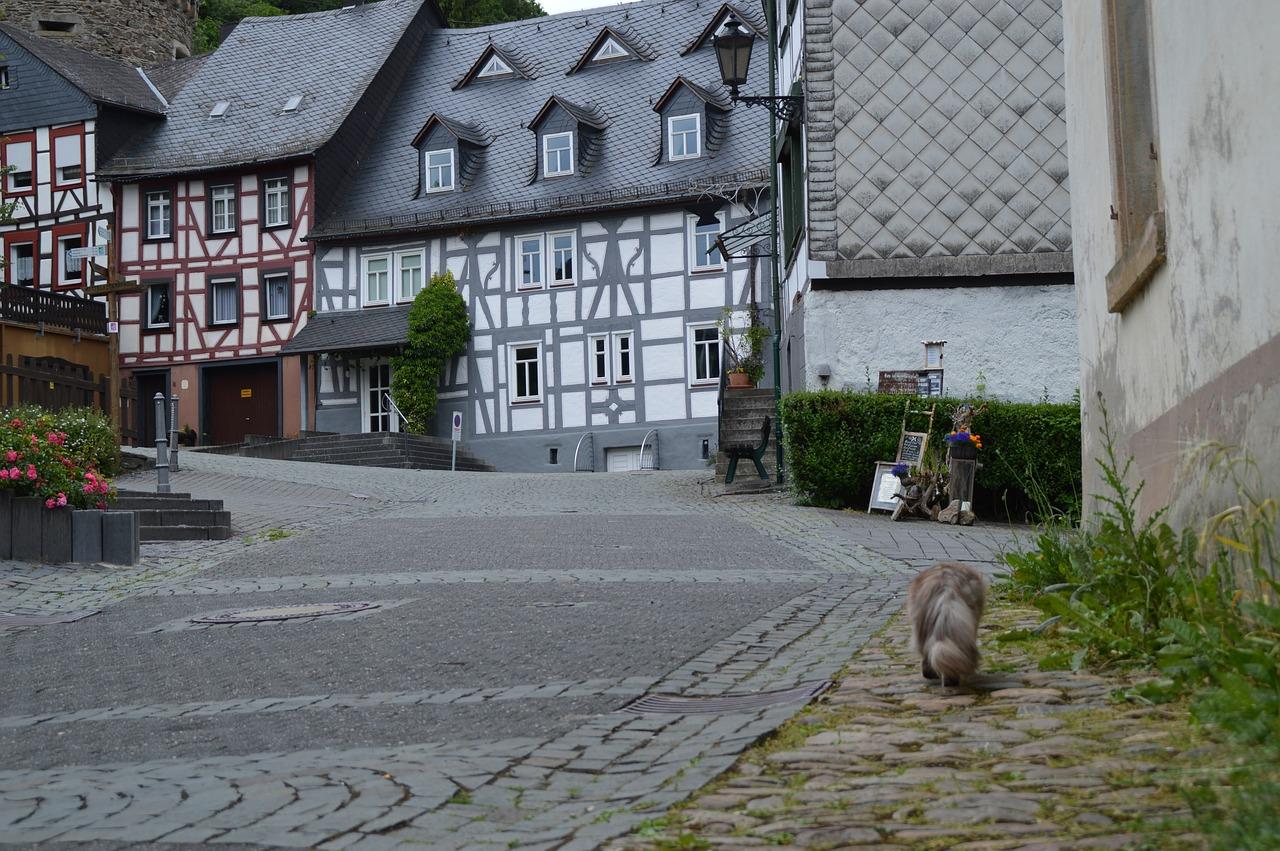 5. 桃家大院地图