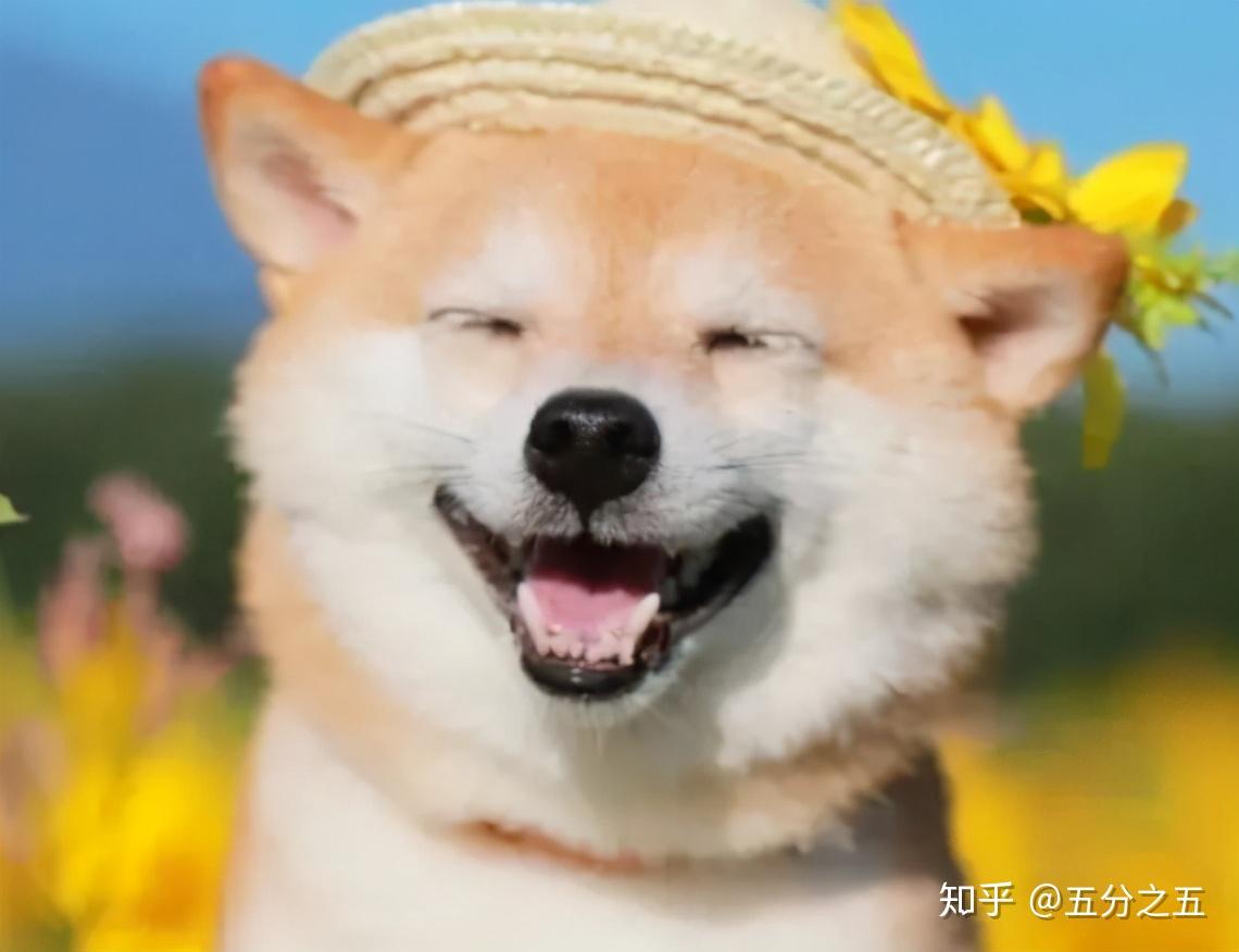 2021跨年发的逗趣搞笑的短句子说说幽默滑稽治愈你的不开心