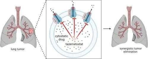 全球首款EZH2抑制剂他泽司他(Tazemetostat)为滤泡性淋巴瘤患者带来新选择! - 知乎