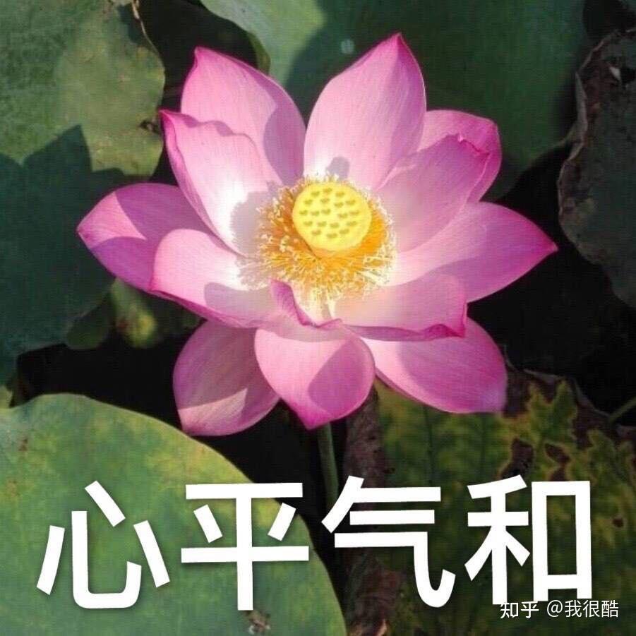 有哪些土味头像