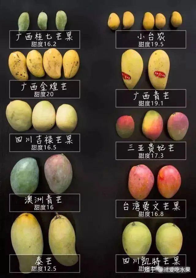芒果品种主要产地分布,特点及上市时间(附:芒果成熟度对比色卡)