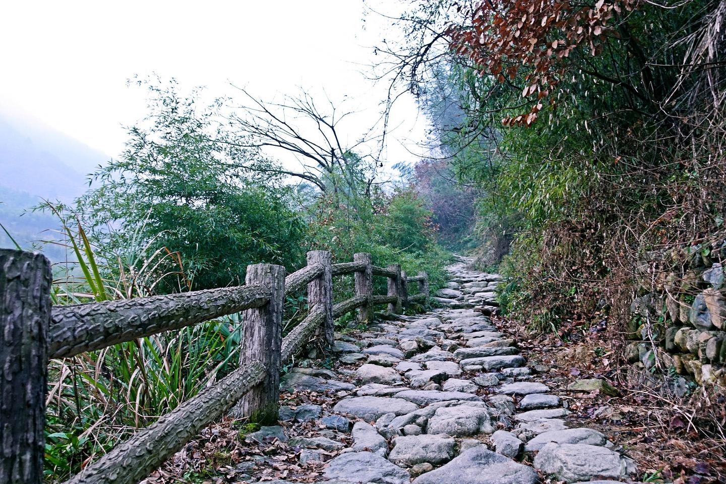 古道风景