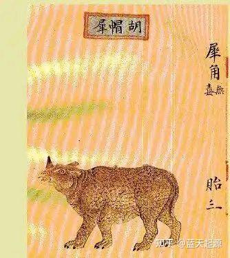 古犀解密~古犀到底长啥样 - 知乎