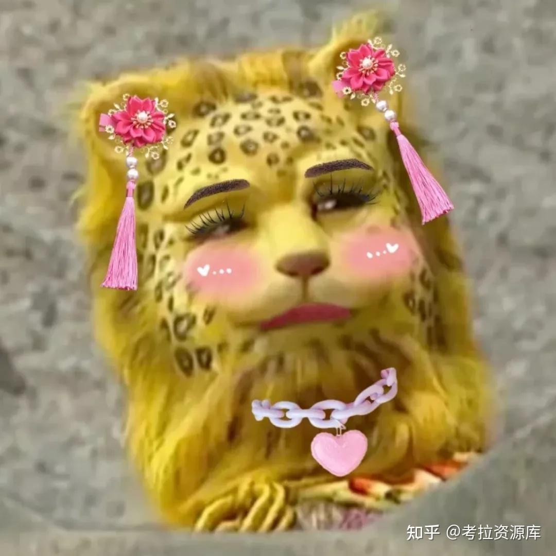 v2-f5f1a3dff7bf03af2e066edbe9d0db1c_r.jpg