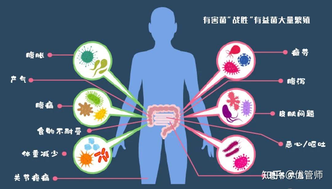 肠道菌群是健康衰老的关键控制者5招教你保护肠道活得更久