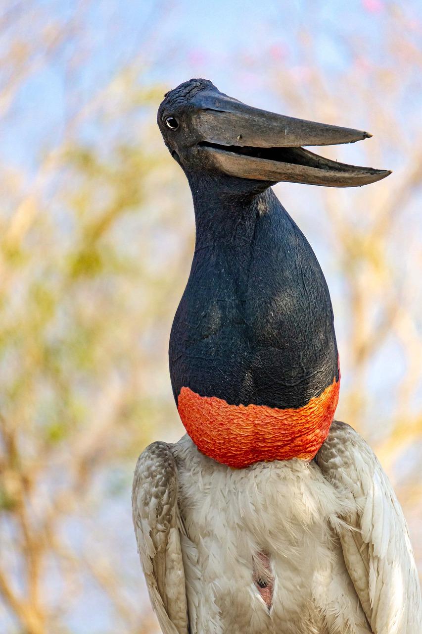 友好e时代在哪里