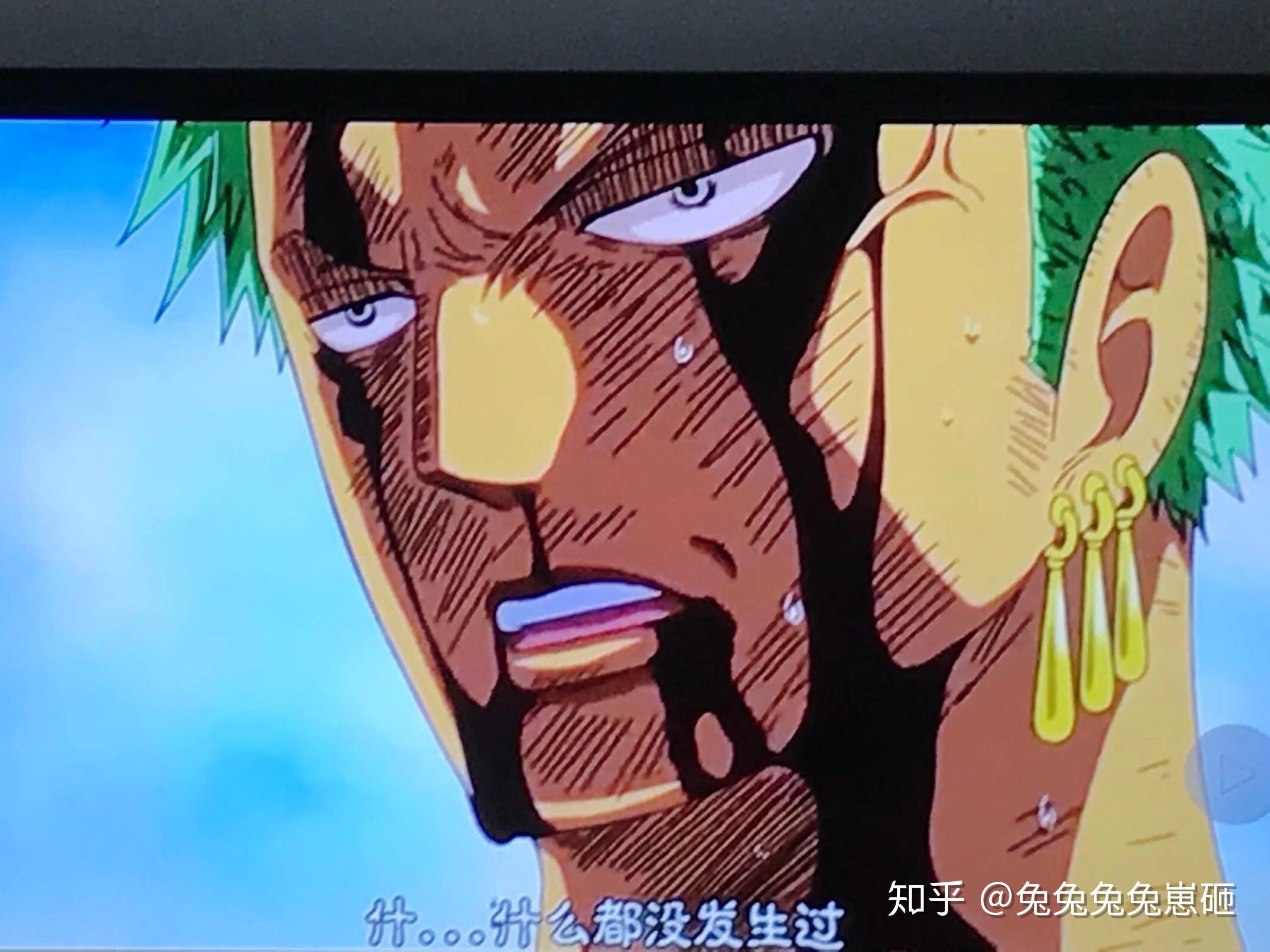 海贼王,索隆替路飞承受痛苦的是哪一集?