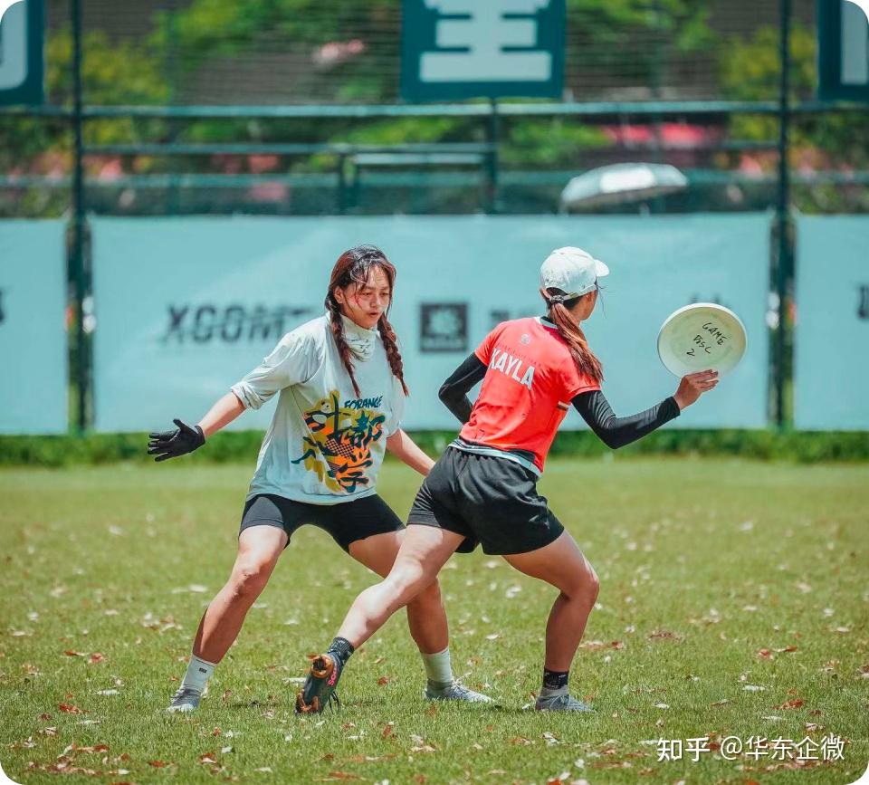 艾克飞盘是怎么抓住风口的? - 知乎
