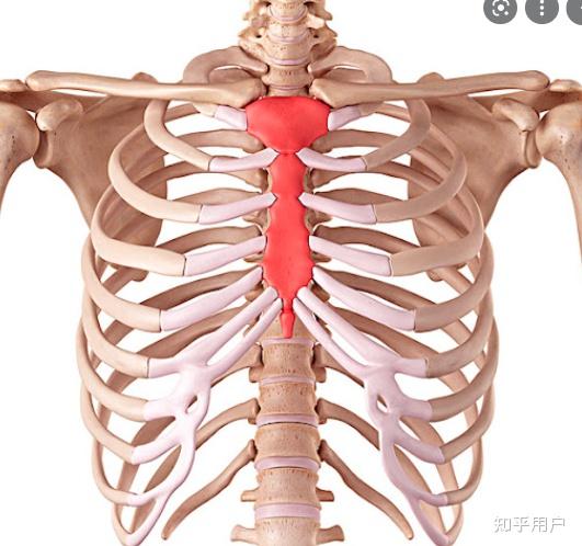 游戏原神里雷电将军为什么把剑插在胸里