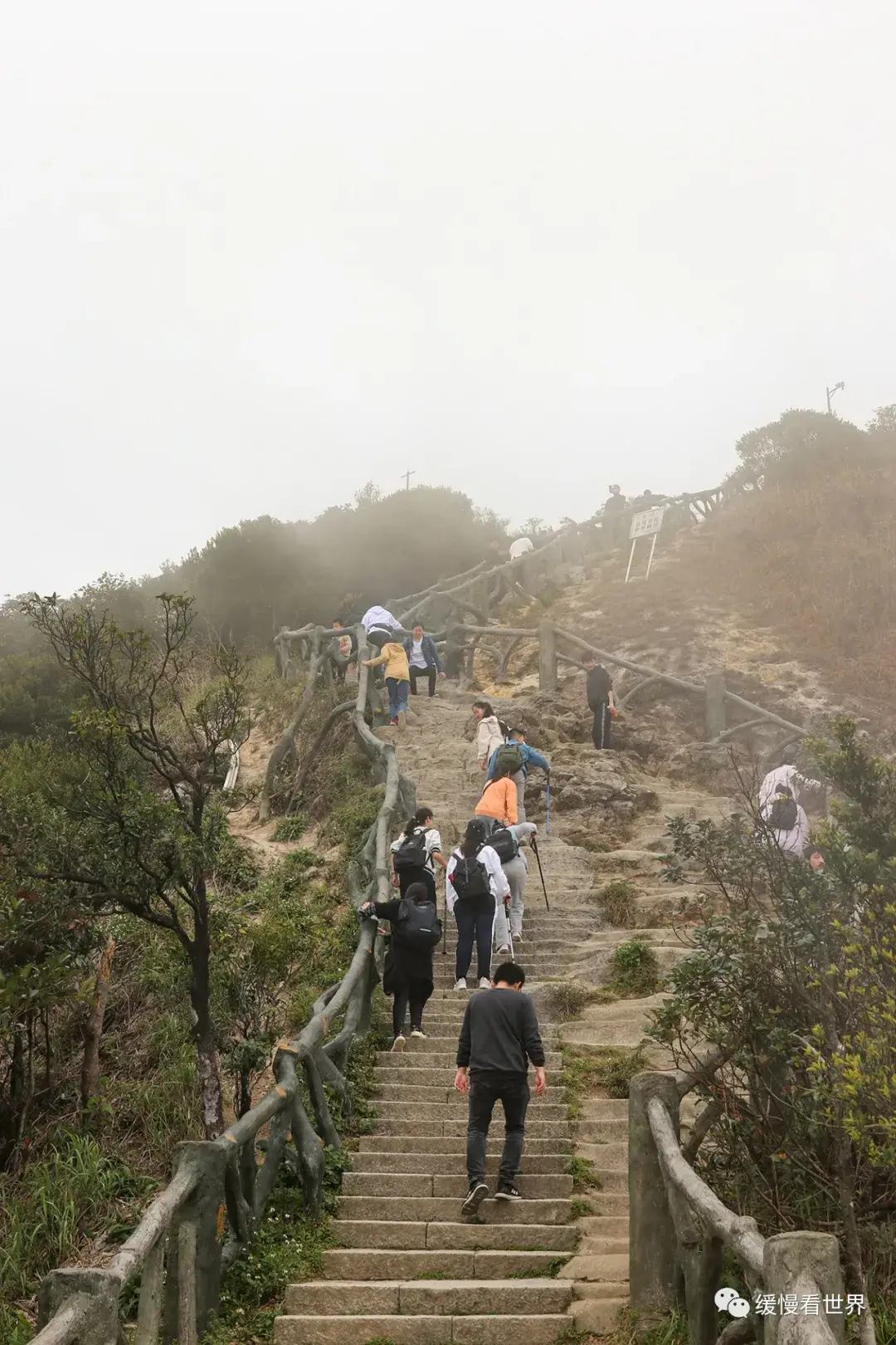 龙岗爬山图片