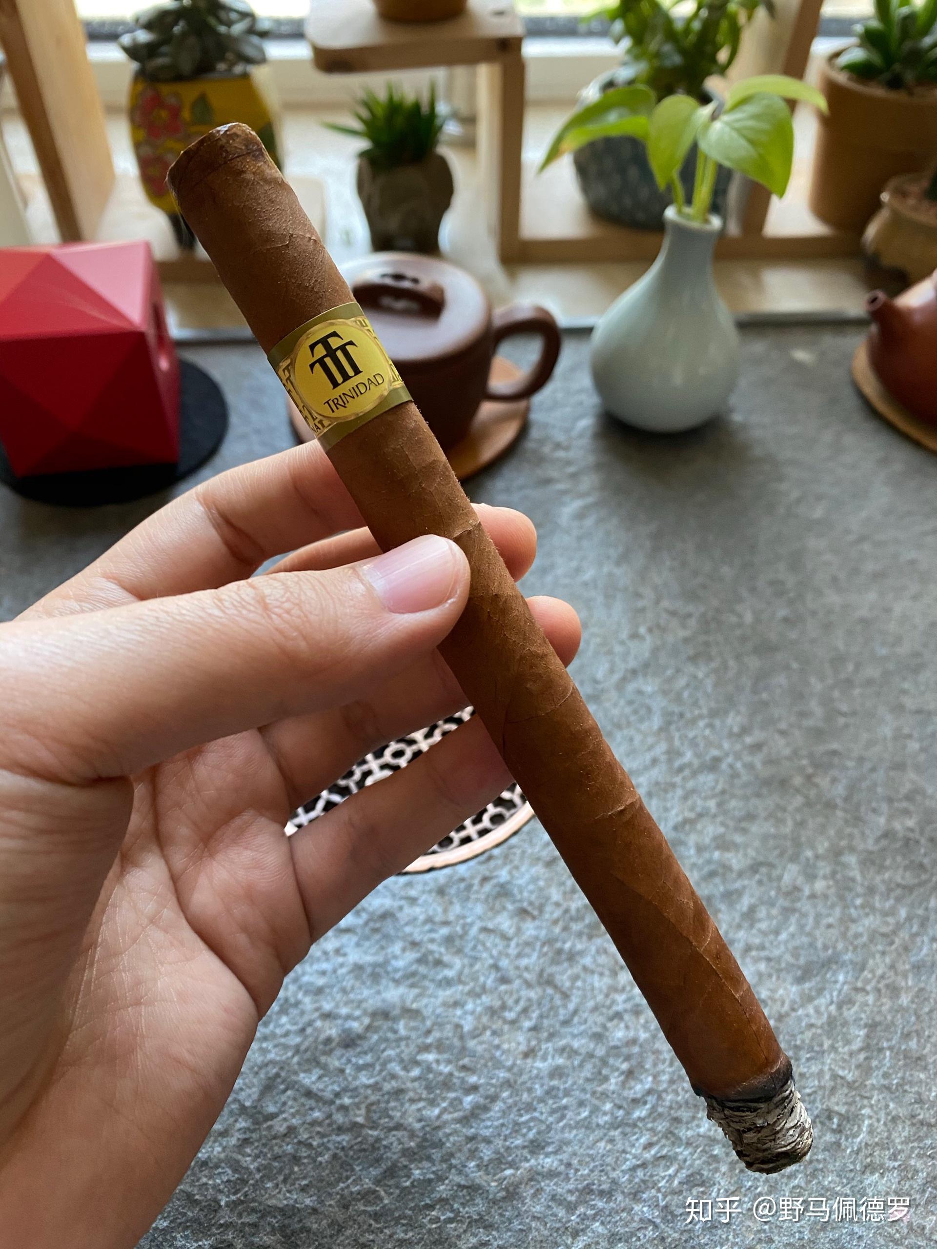 古巴雪茄特立尼达创建trinidadfundadores