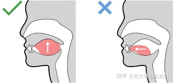 【口呼吸】唇舌肌训练,在家也能做 - 知乎