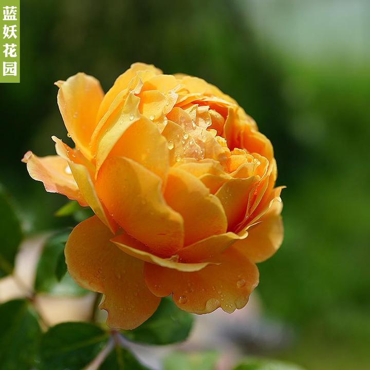v2-f618cdbe7e0872a589b17a9e6bbe1133_720w.jpg?source=12a79843
