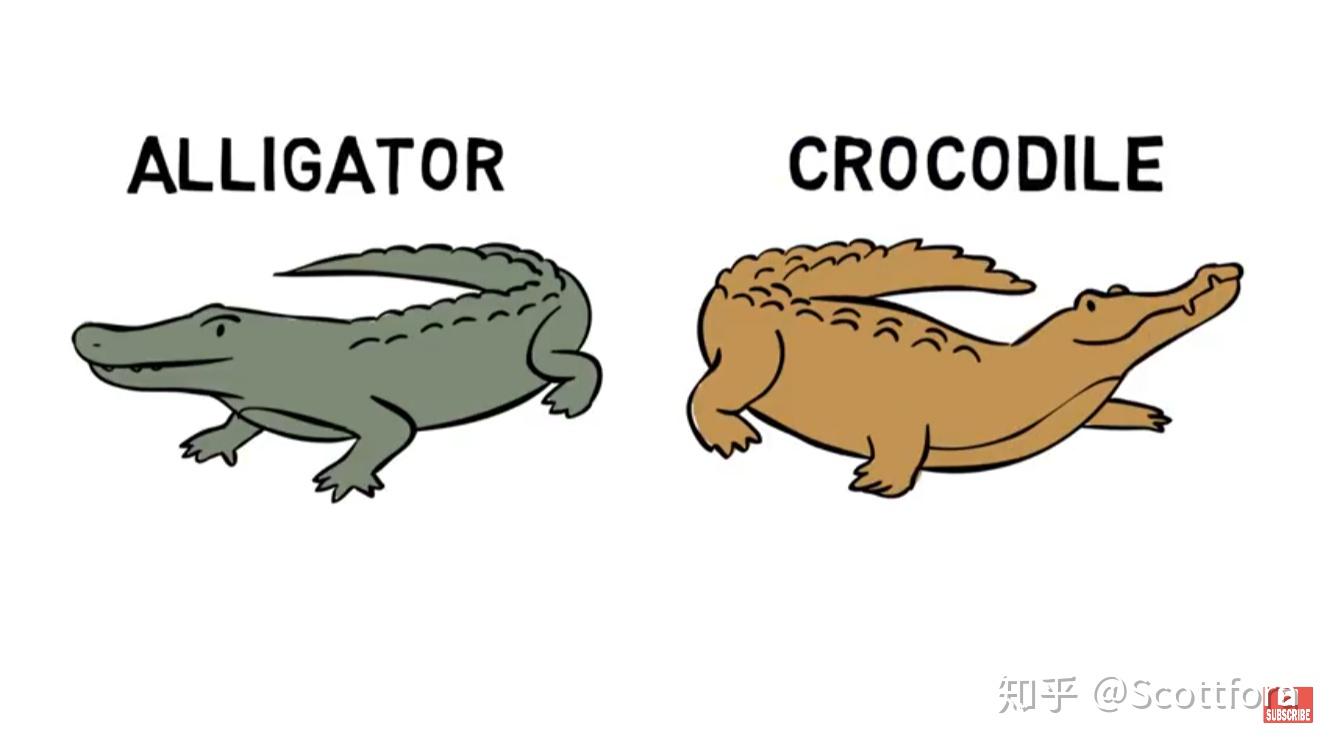 alligator简笔画图片