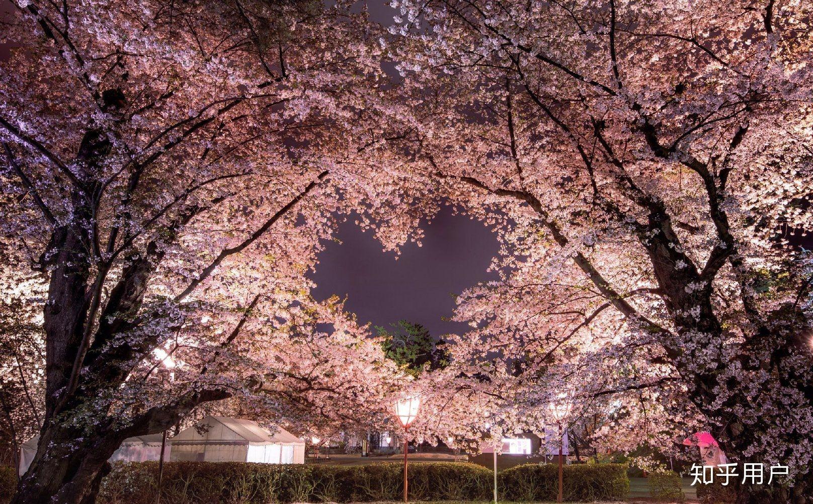 00后想不想生小孩对于生小孩有什么看法