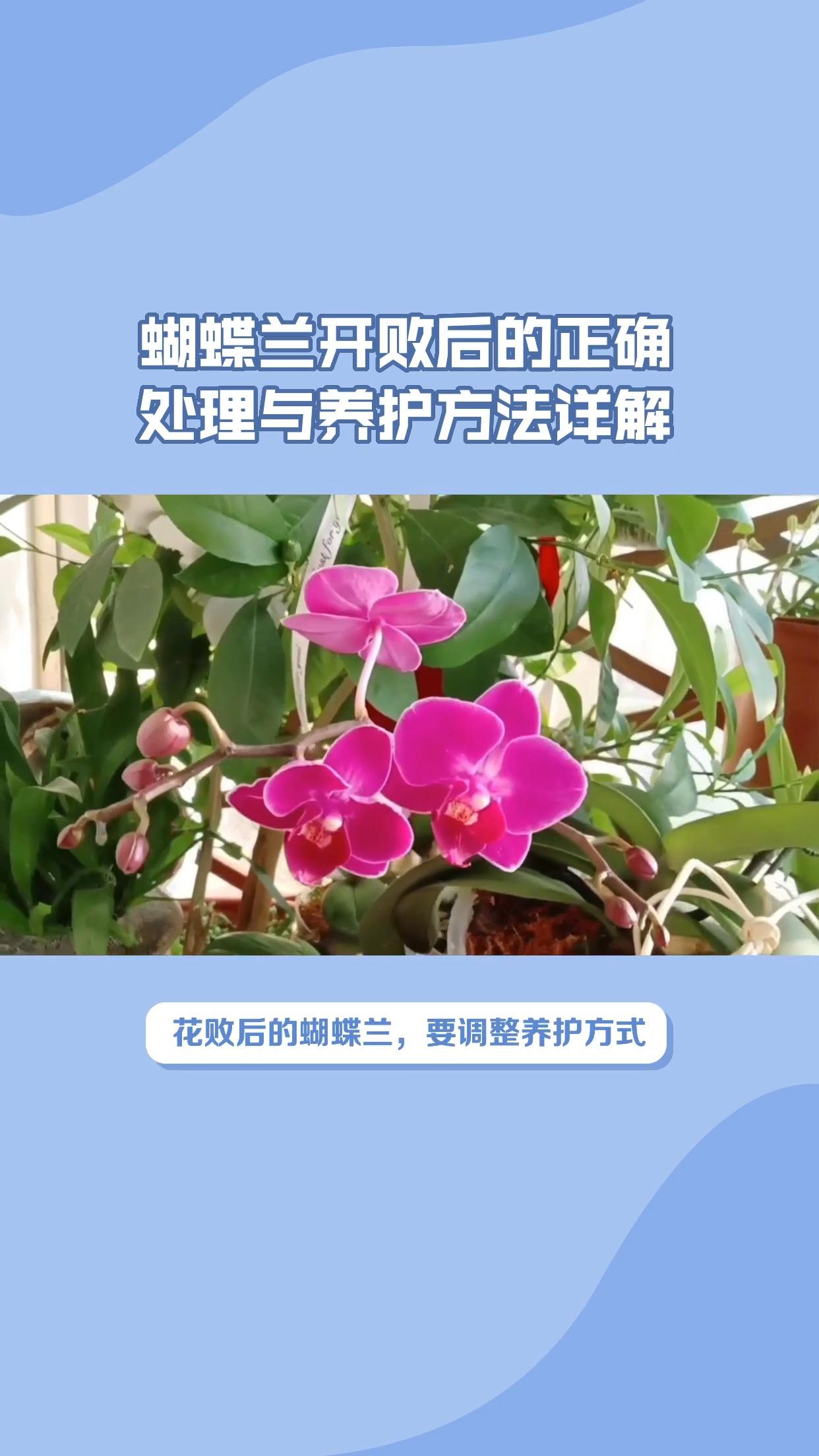 ���������ڹ����޼�ͼ�����������ں����ֳ������ע������