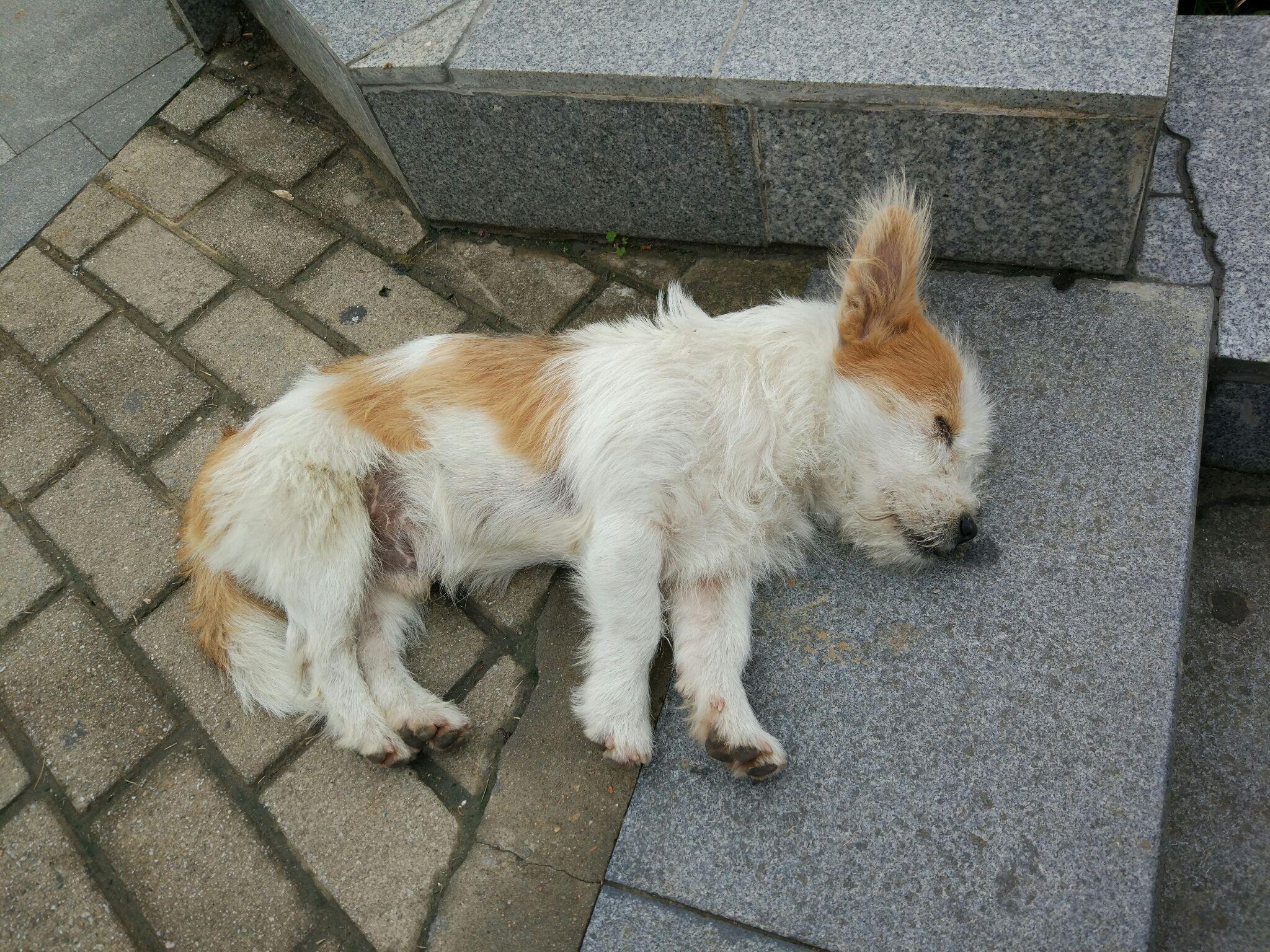 如何评价 2016年 CCPC 合肥站? - ACM 竞赛