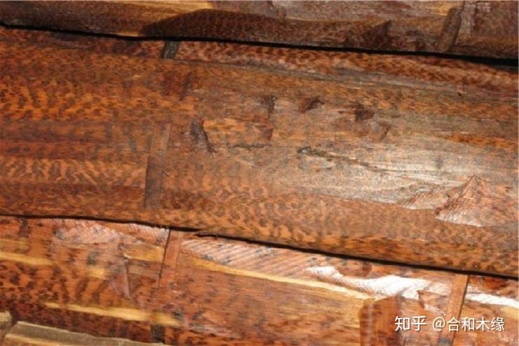 「家具木材美誉」连载篇七：蛇纹木被誉为木中钻石，硬度可见一斑 - 知乎