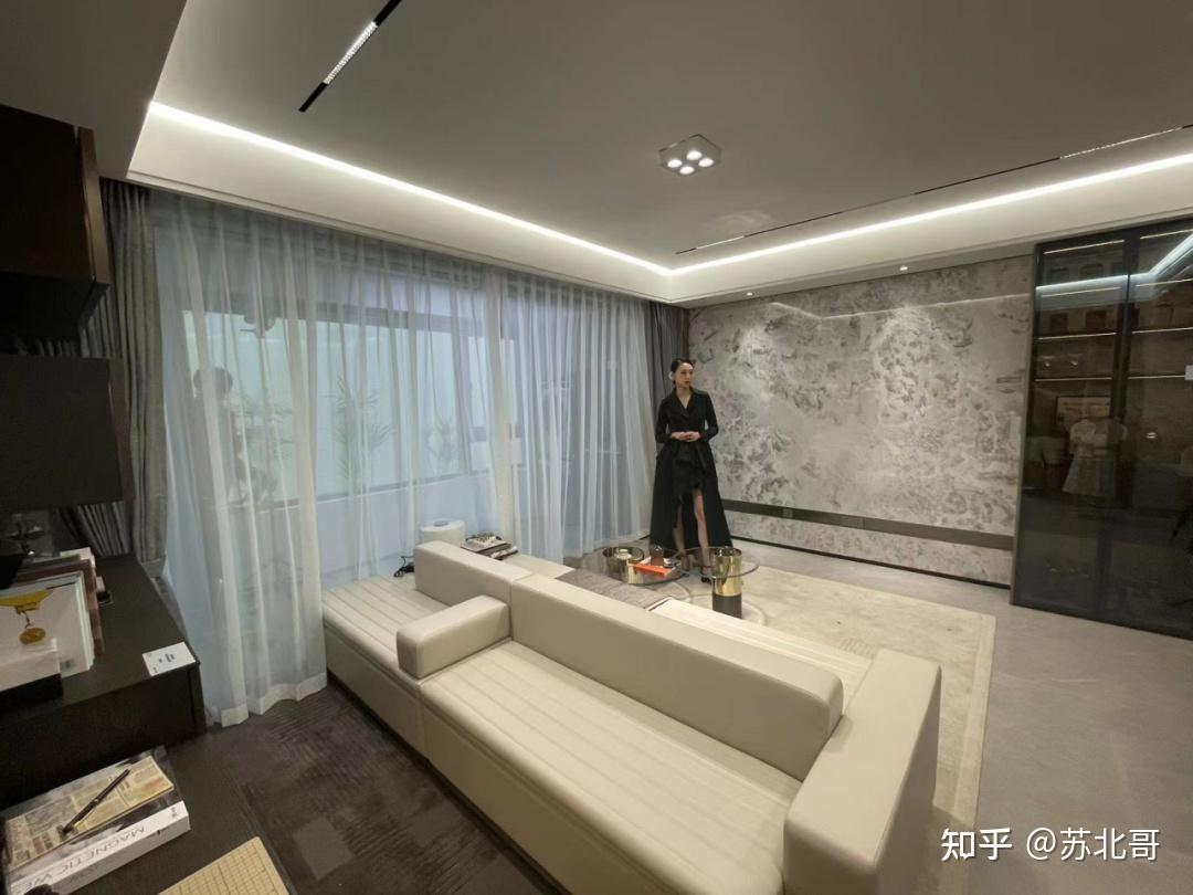 号称3万天花板的兴智金地都会峯范实地考察...... - 知乎