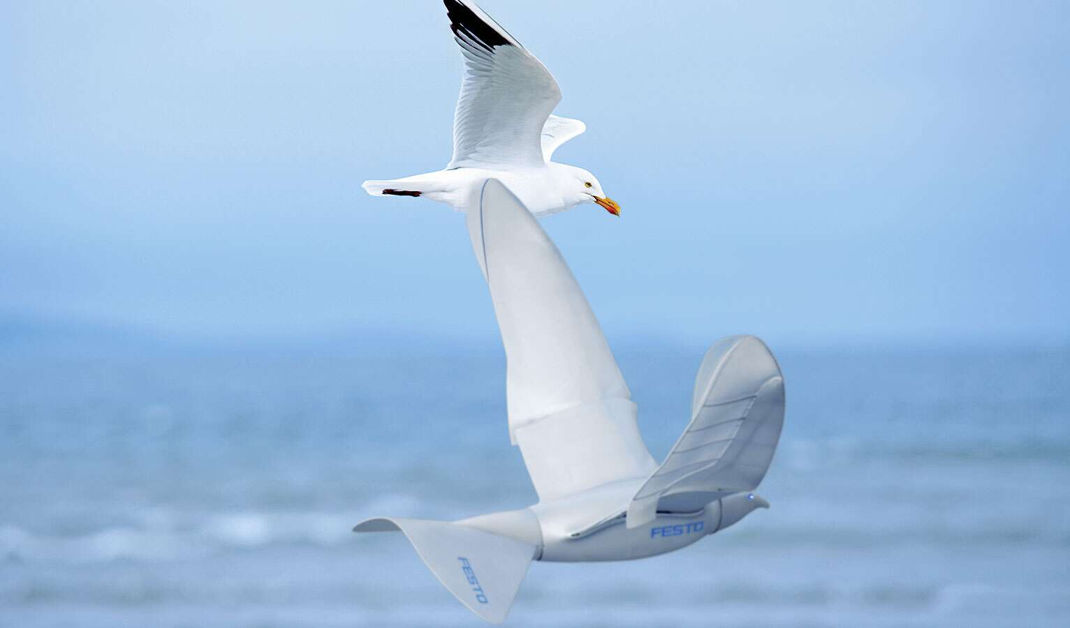 欢迎来到仿生动物园! - 知乎