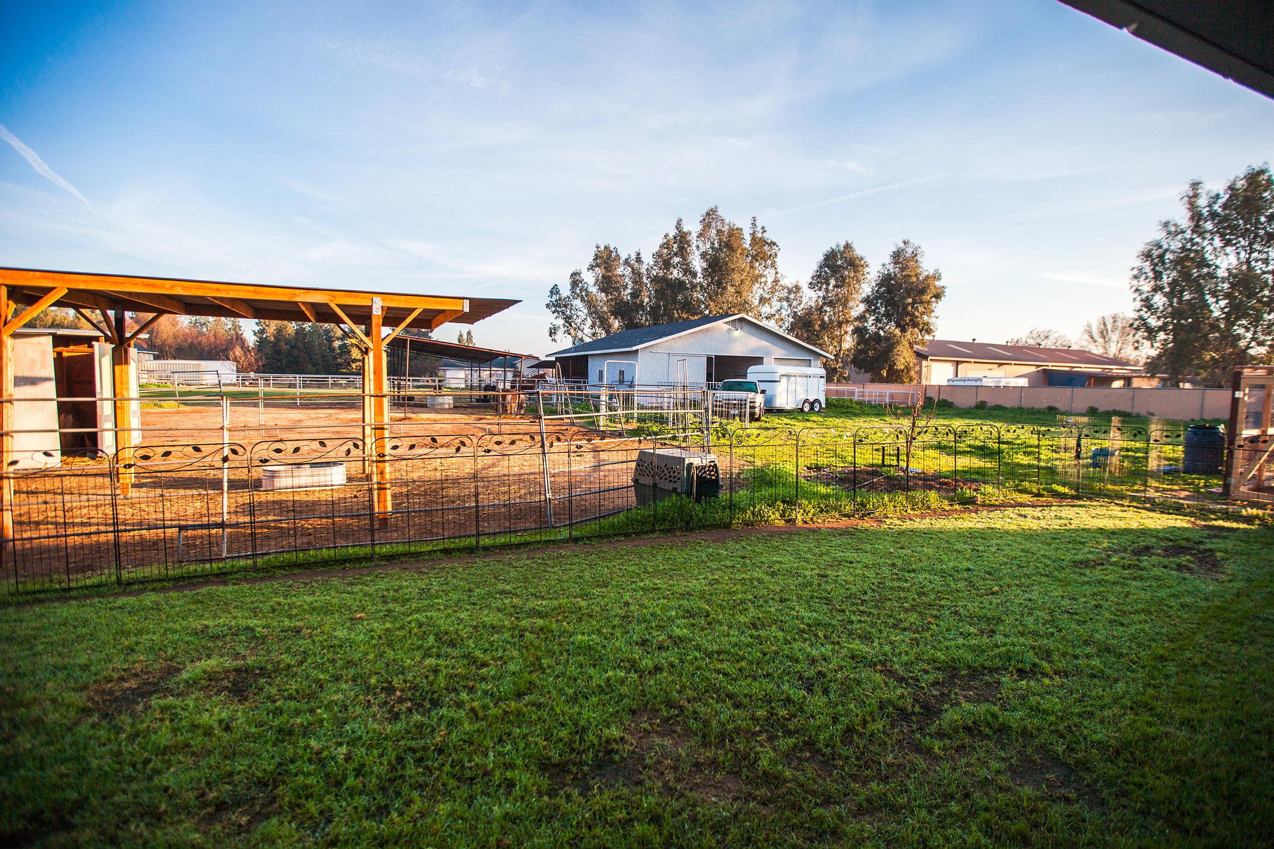 公路旅行我住进了美国当地农场家遇见一群萌宠