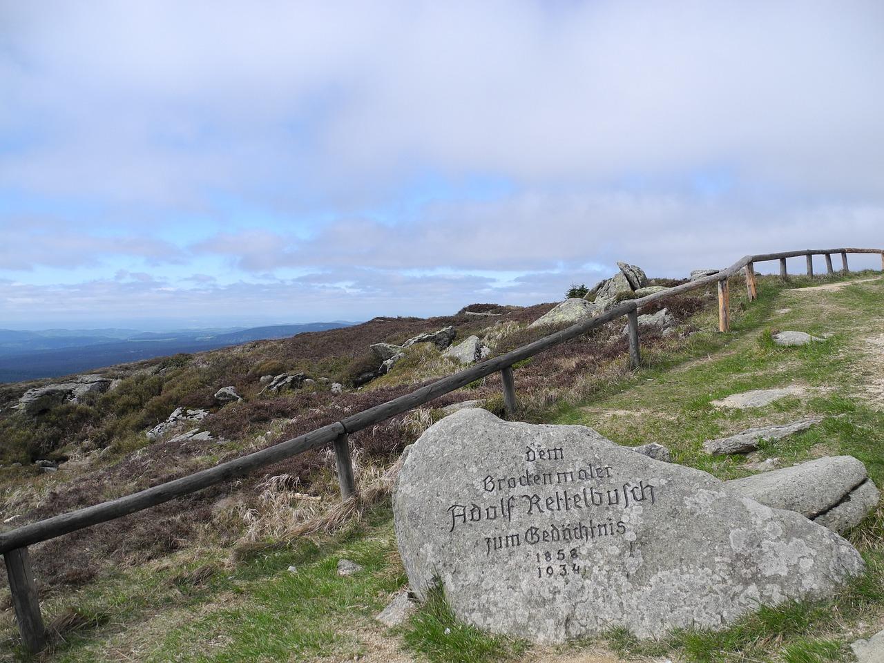 5. 现场互动体验