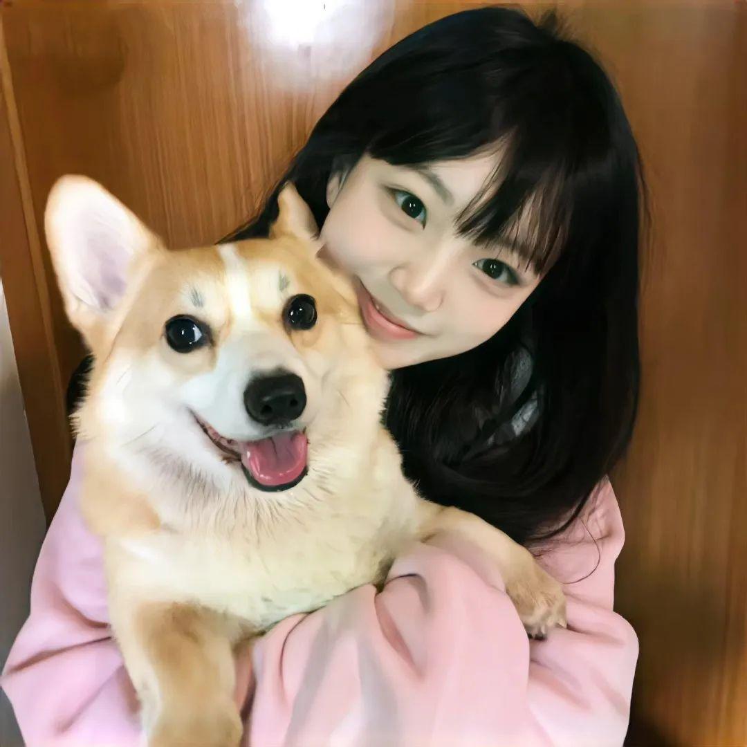 有哪些适合女生用的小狗头像值得分享?