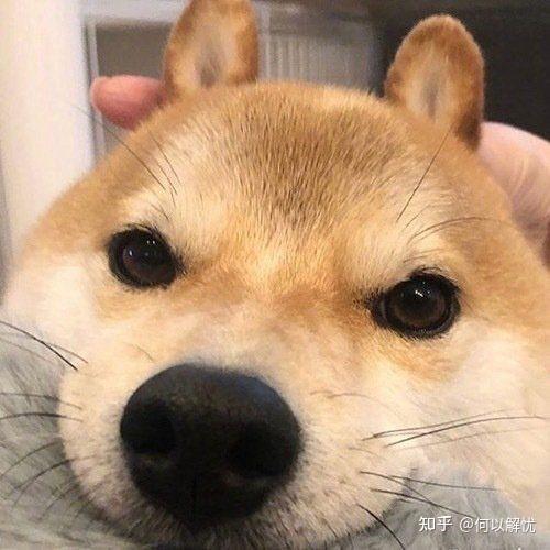 有没有女生一看就喜欢的头像? - 知乎