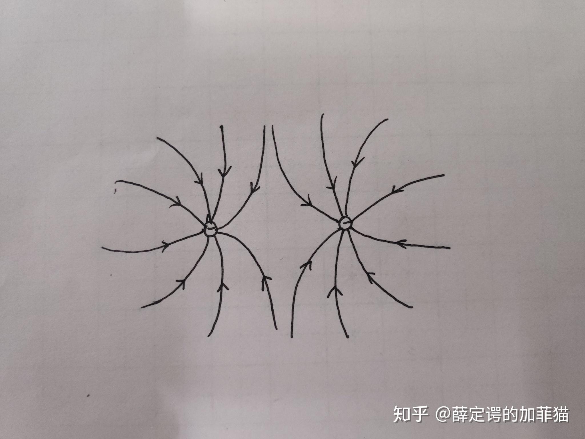 等量同种电荷(两个负电荷)形成的电场线是什么样的呢?