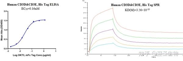 双抗热门靶点——CD3D&CD3E - 知乎