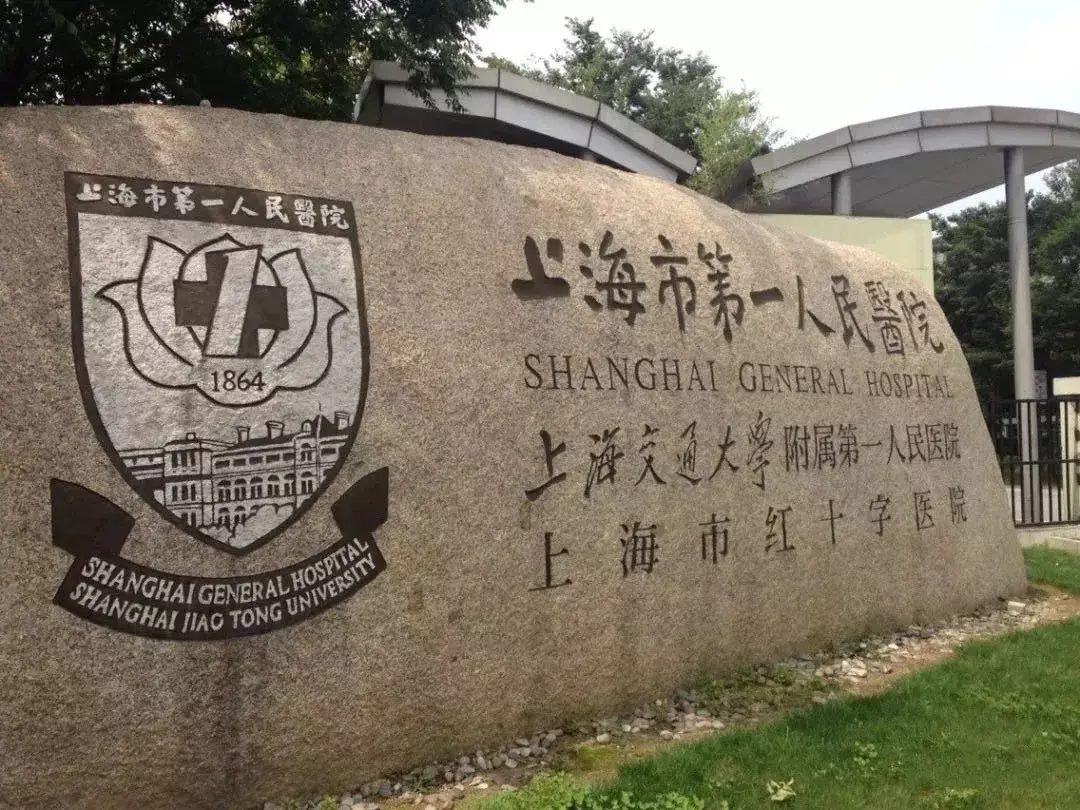 小昆山社区卫生服务中心,板块内还有上海市第一人民医院南院,松江区