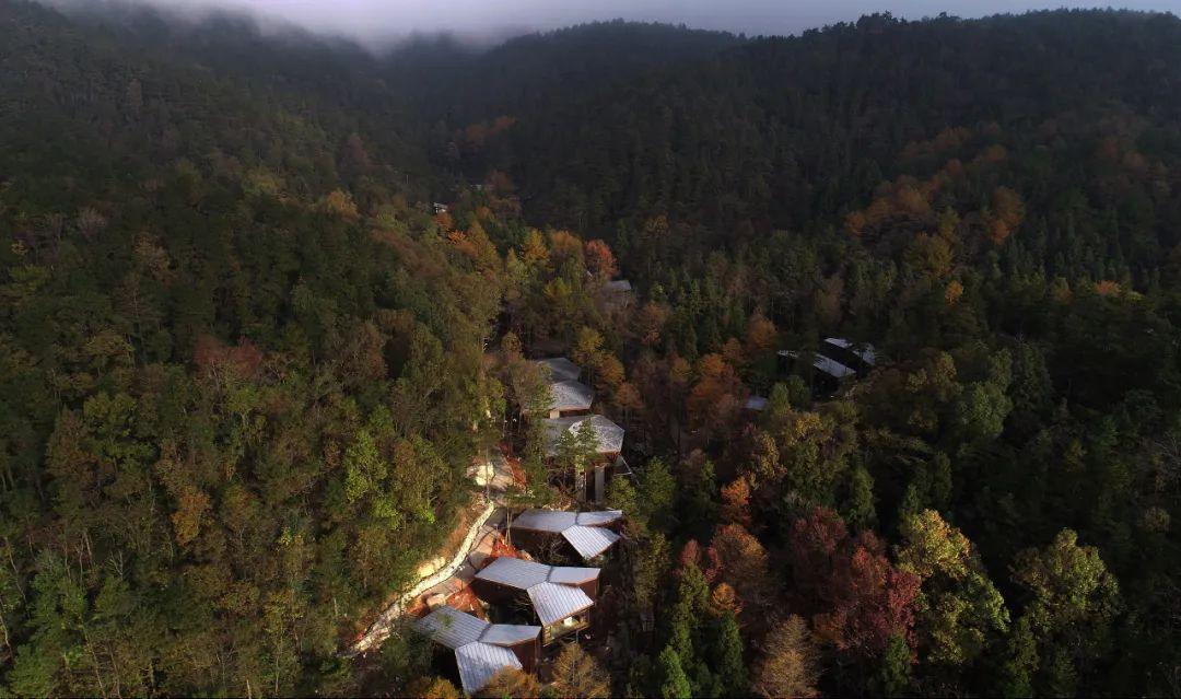 规划设计第3期 | 度假民宿:极致山林景观