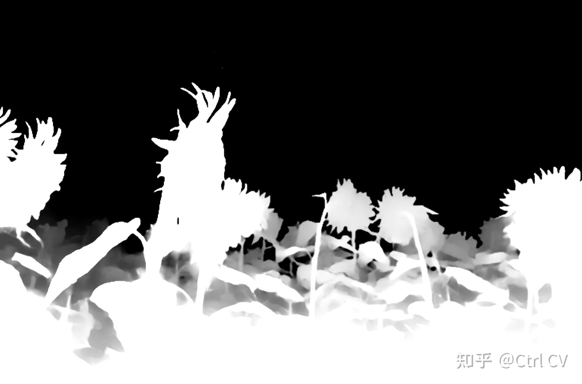 Depth Anything V2 Depth anything v2