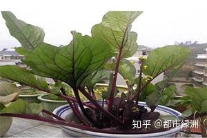 v2-f68d1fd02c2a20c57a890b6766760978_b.jpg