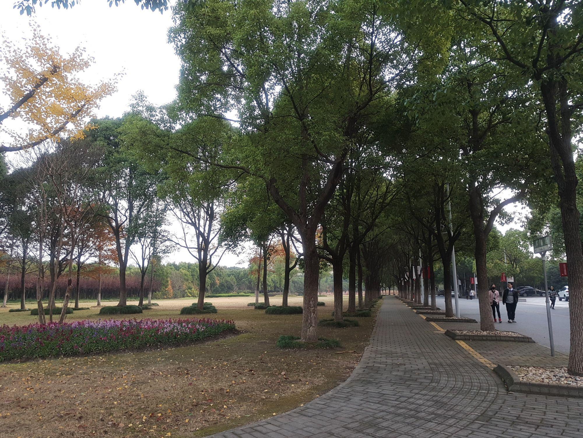 在华东政法大学有没有一个能哭的地方? - 知乎