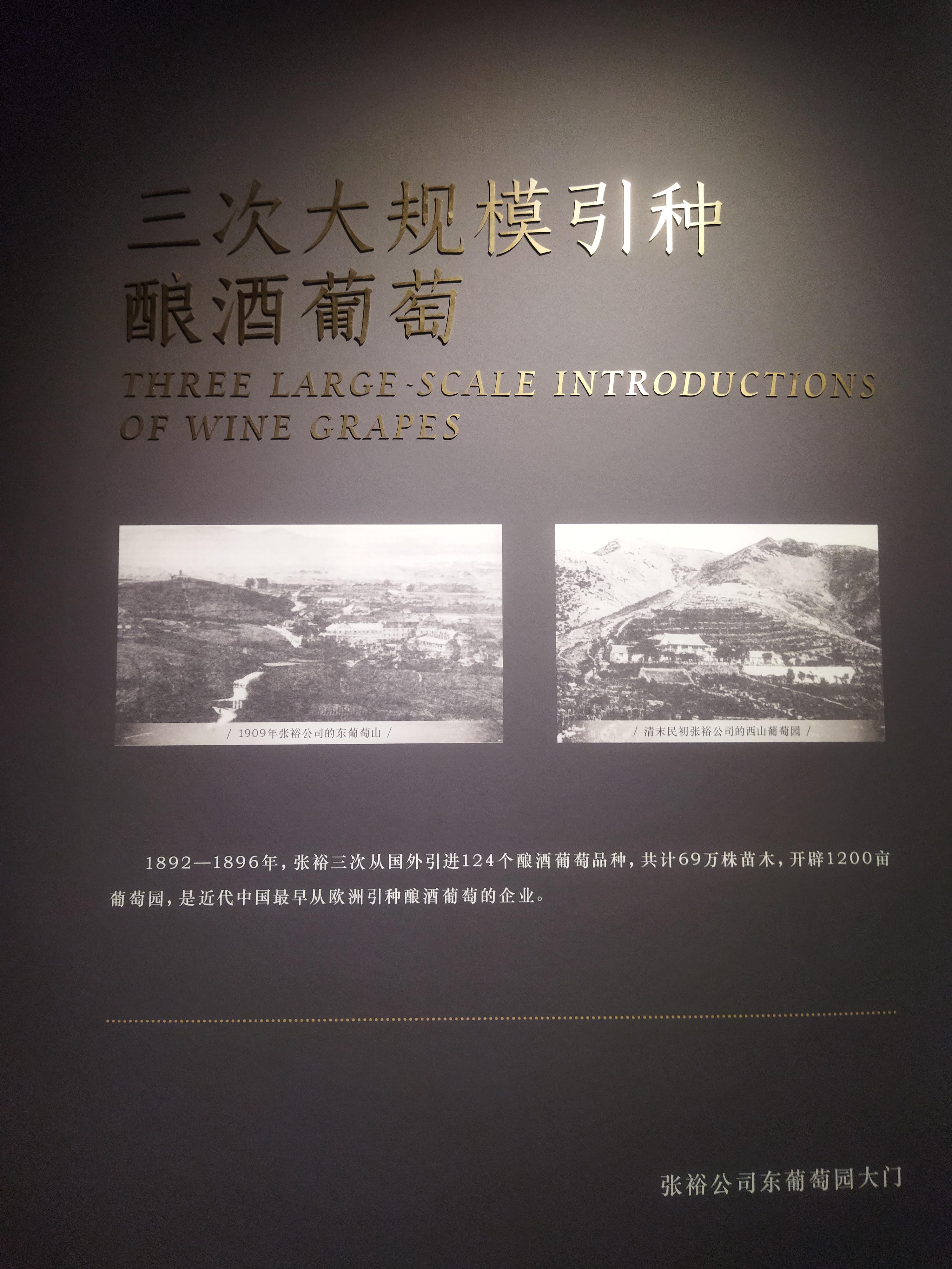 张裕酿造第一瓶白兰地，用了22年！ - 知乎