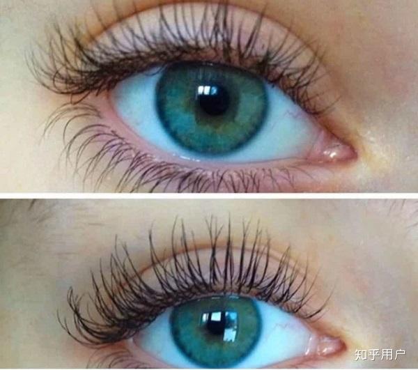 双层睫毛长什么样子?
