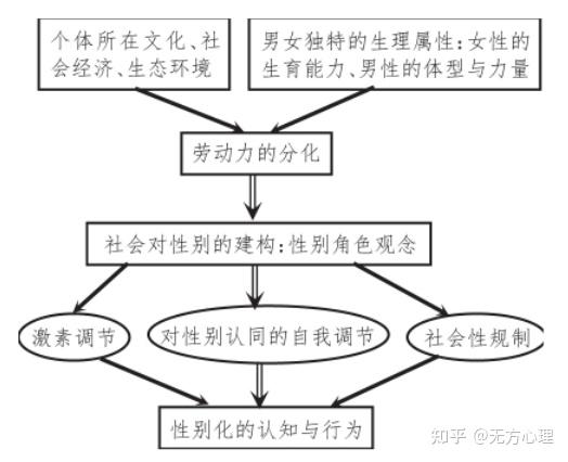 从心理学角度来说,男性与女性有什么天然的差异么? 2 v2 f6a151b0d29f958970f7b1113017f10b 720w
