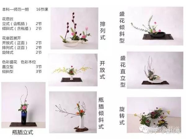 小原流蘭印象花道 课程设置 知乎