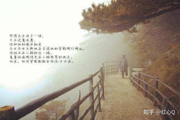 目送龙应台