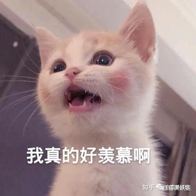 去年周仙仙靠一套超级超级牛的富江仿妆爆红网络.