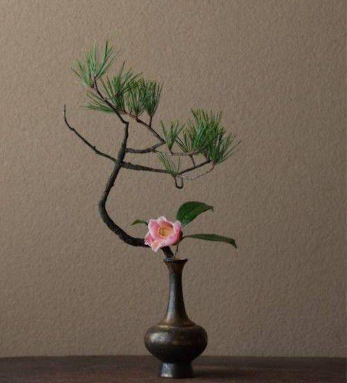 日本文化 | 一篇文章带你看懂日本花道 - 知乎