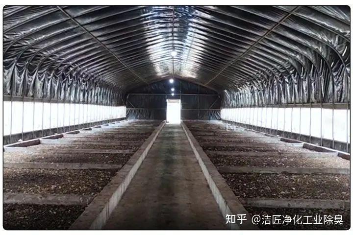 黑水虻养殖实地设计除臭方案,工业除臭剂解决恶臭难题