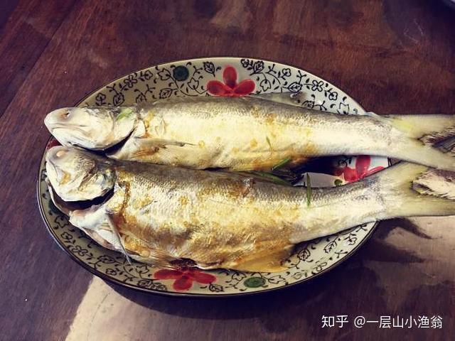 閩南第一鮮的極品好魚午魚