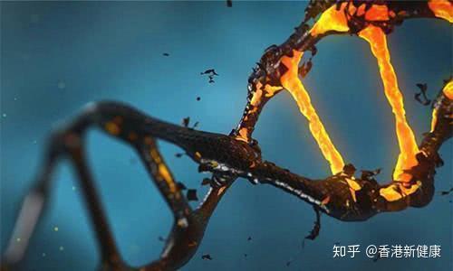 研究发现基因突变可以促进肝损伤后的再生