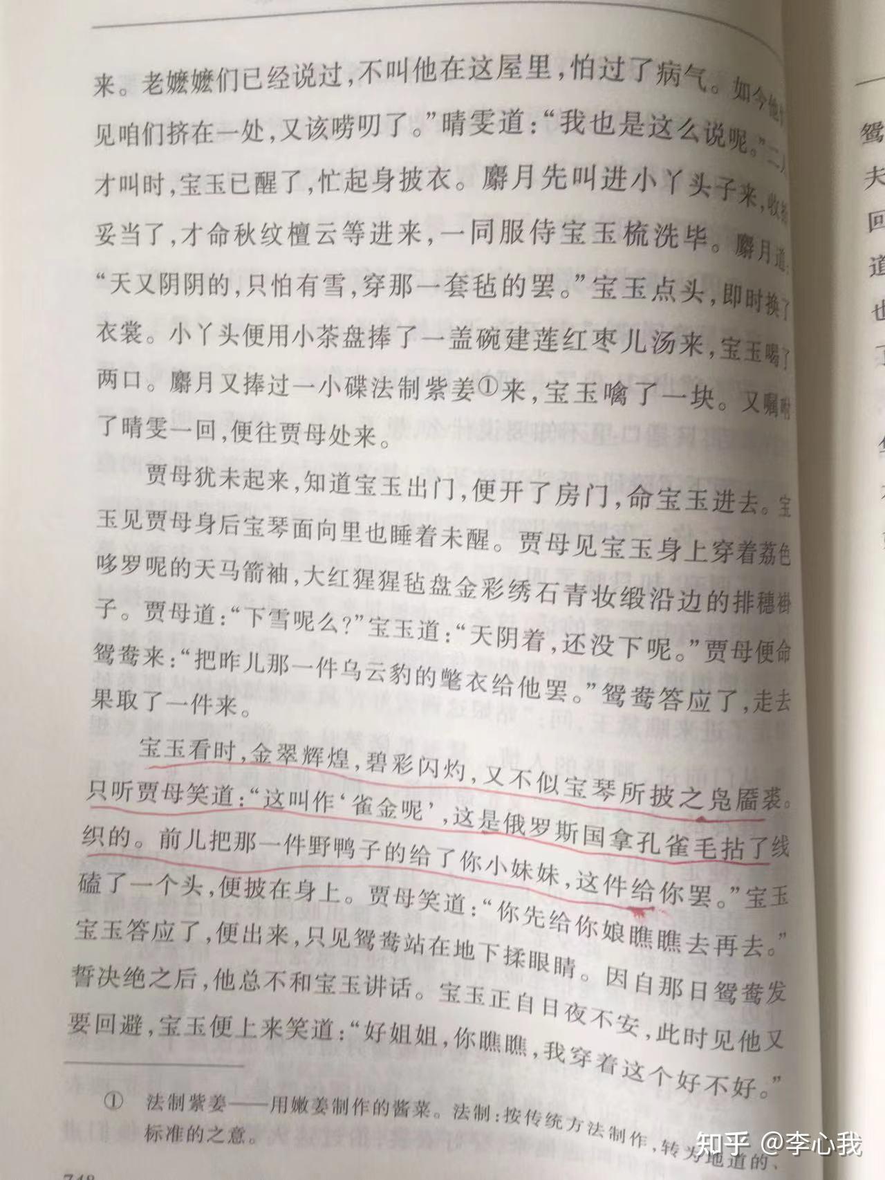 乌云豹的氅衣图片