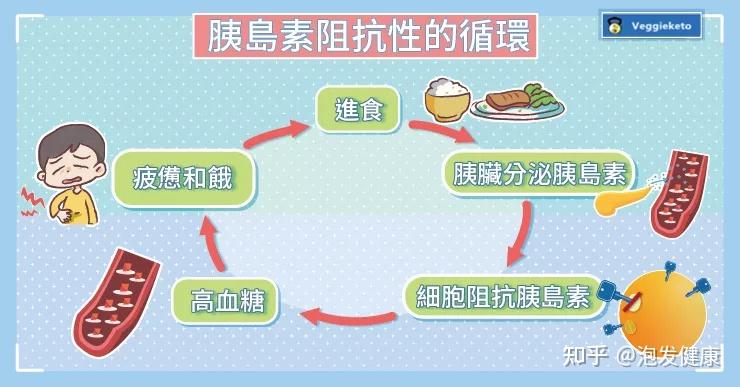 胰岛素抵抗肥胖小恶魔慢病之源