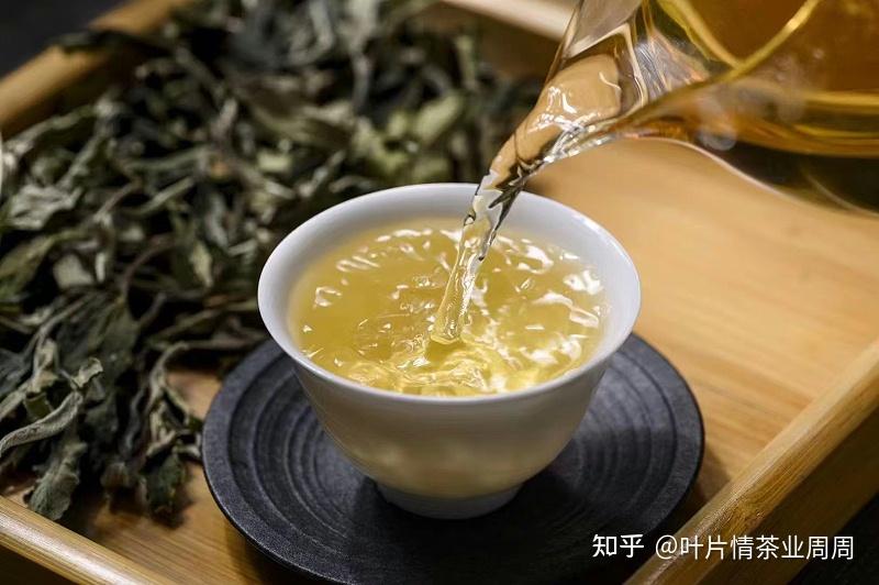 白茶的冲泡技巧与注意事项